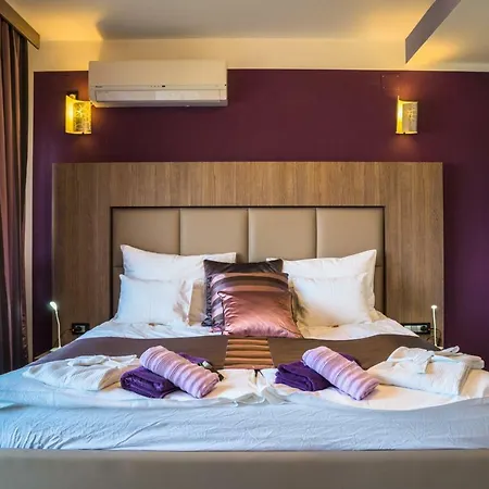 Anikol 1 سيلتسي