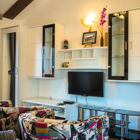 Anikol 1 سيلتسي